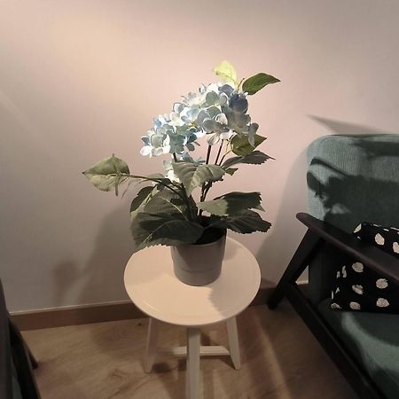 Apartamento Zabala Conoce Bilbao Desde Dentro מראה חיצוני תמונה