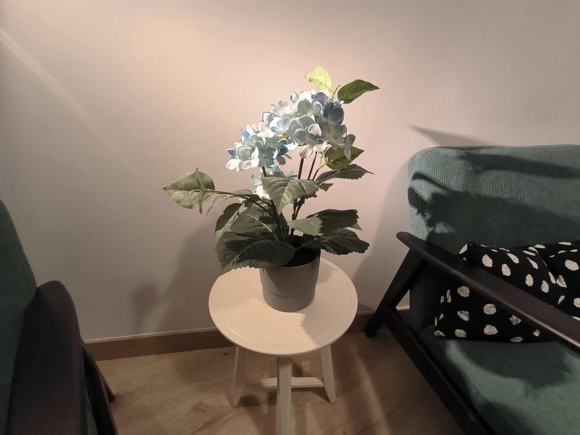 Apartamento Zabala Conoce Bilbao Desde Dentro מראה חיצוני תמונה